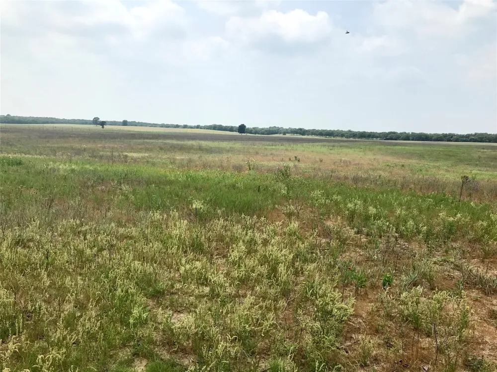 1672 Sayers Tract 2 Road Bastrop, TX 78602