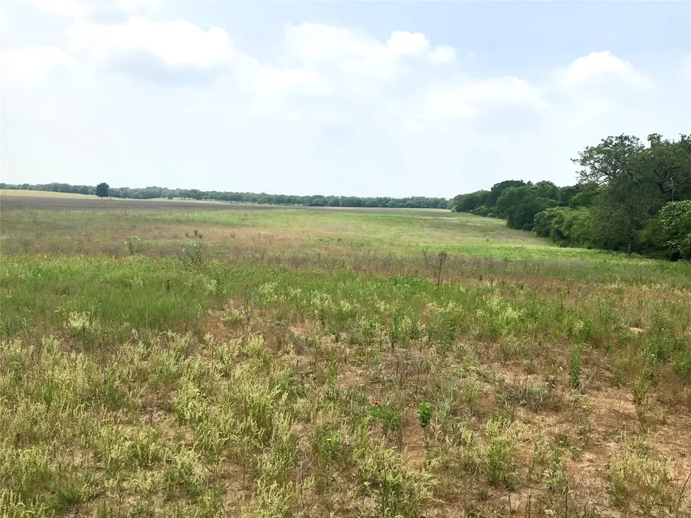 1672 Sayers Tract 2 Road Bastrop, TX 78602