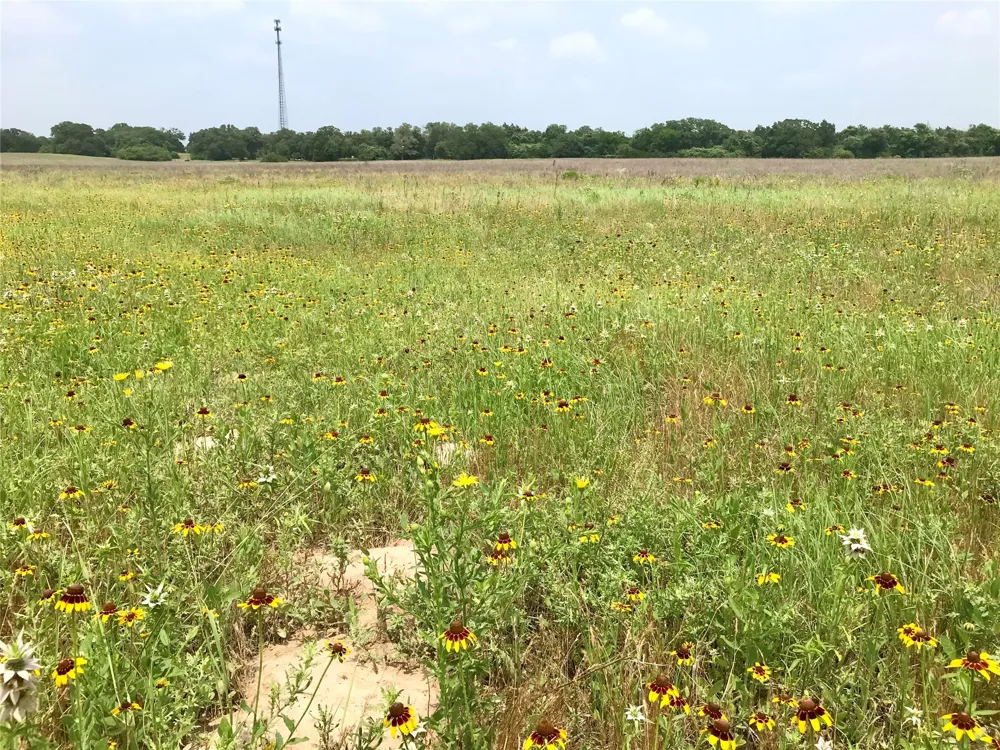 1672 Sayers Tract 2 Road Bastrop, TX 78602