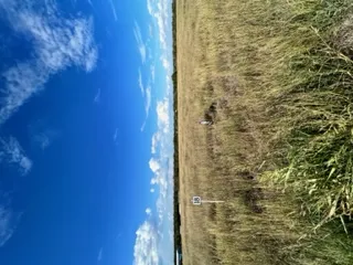 County Road 240 Drive Gonzales, TX 78629