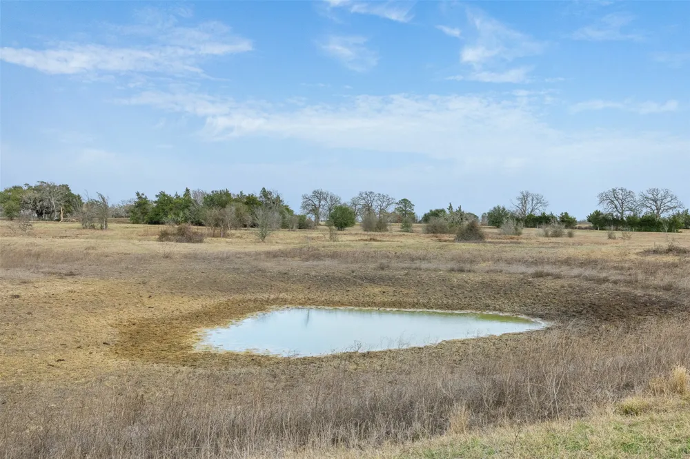 1310 Nassau Road Round Top, TX 78954