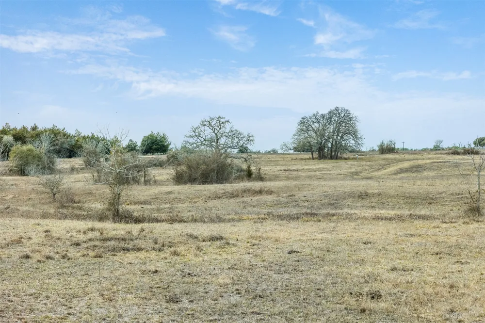 1310 Nassau Road Round Top, TX 78954