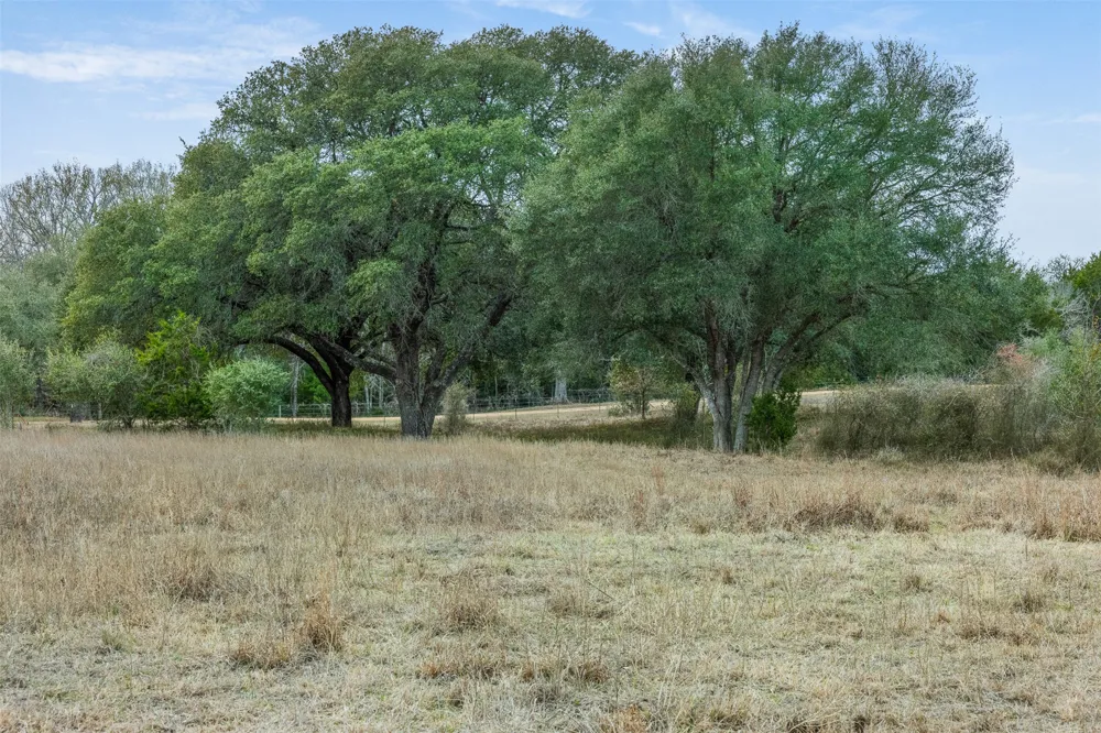 1310 Nassau Road Round Top, TX 78954