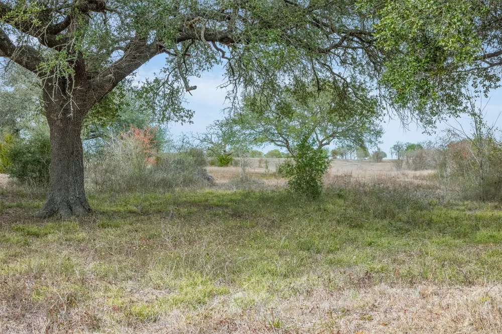 1310 Nassau Road Round Top, TX 78954