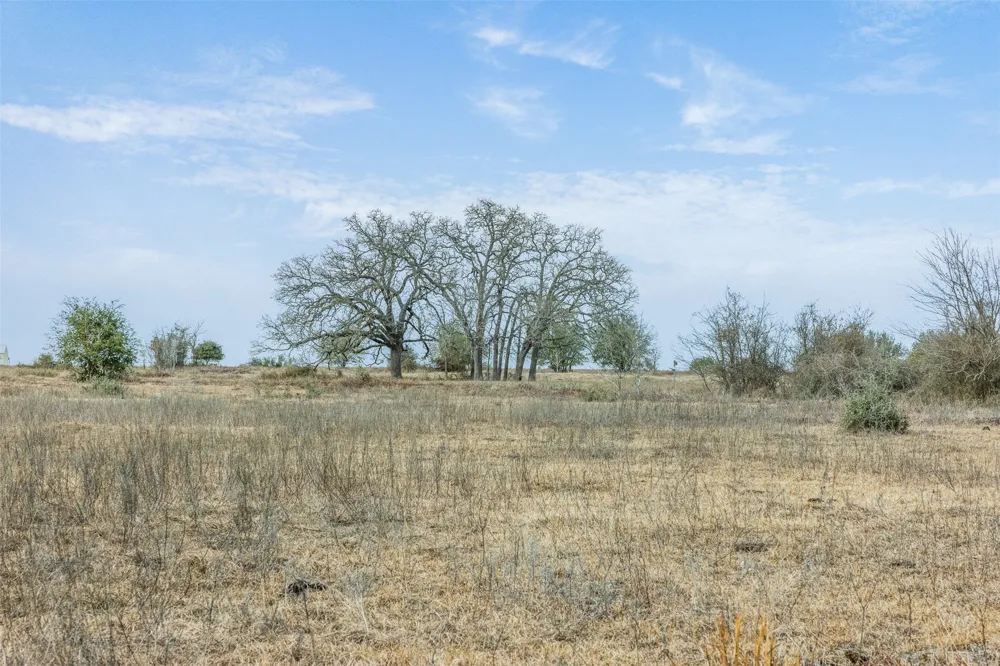 1310 Nassau Road Round Top, TX 78954