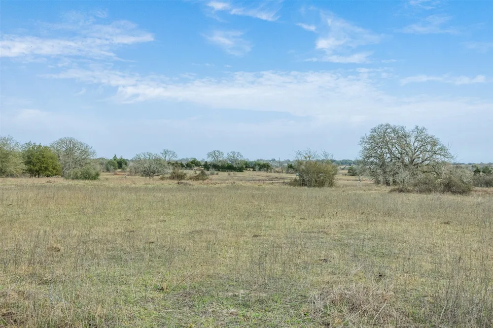 1310 Nassau Road Round Top, TX 78954