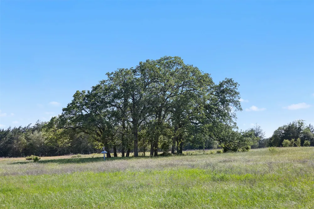 1310 Nassau Road Round Top, TX 78954