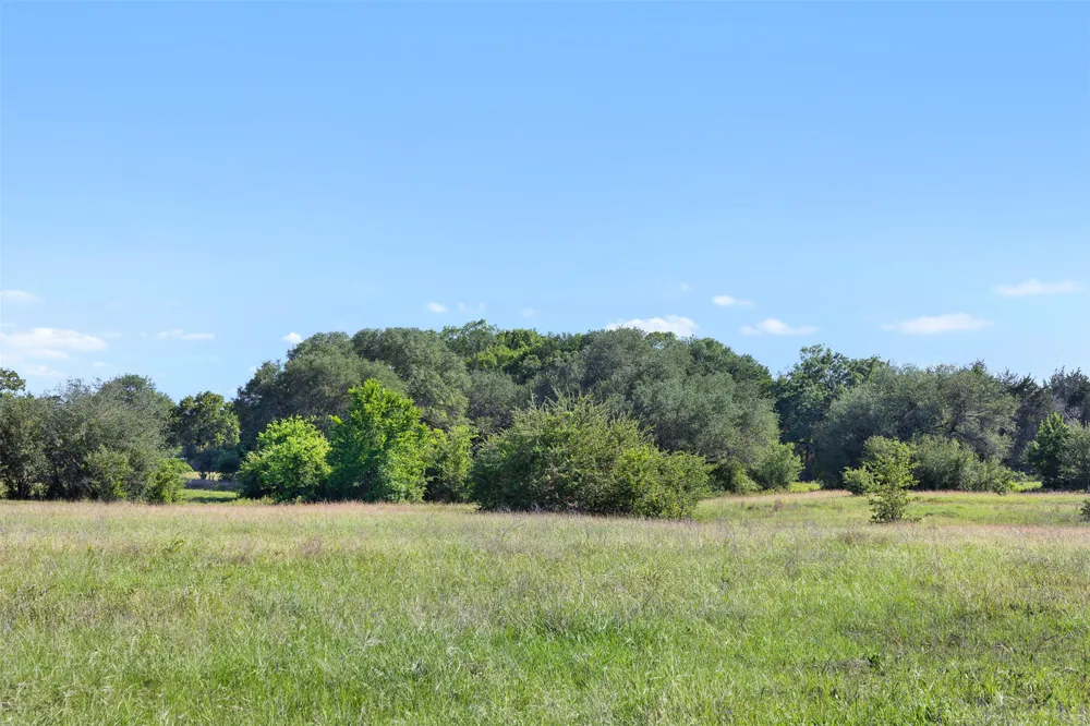 1310 Nassau Road Round Top, TX 78954