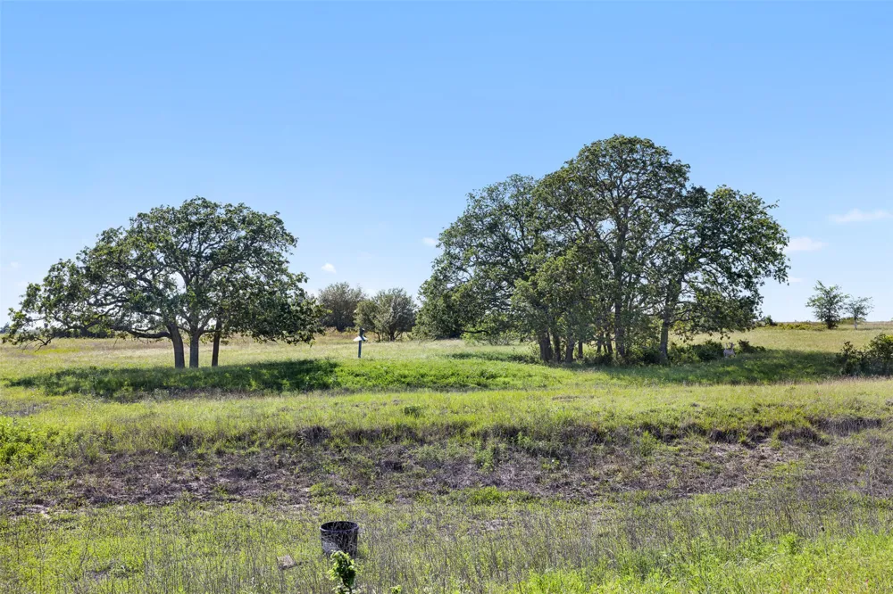 1310 Nassau Road Round Top, TX 78954