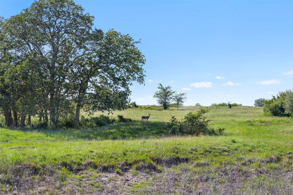 1310 Nassau Road Round Top, TX 78954