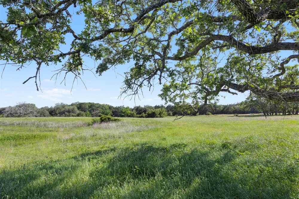 1310 Nassau Road Round Top, TX 78954