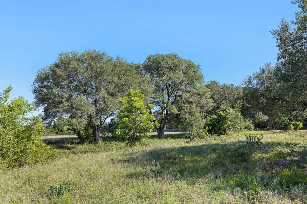 1310 Nassau Road Round Top, TX 78954