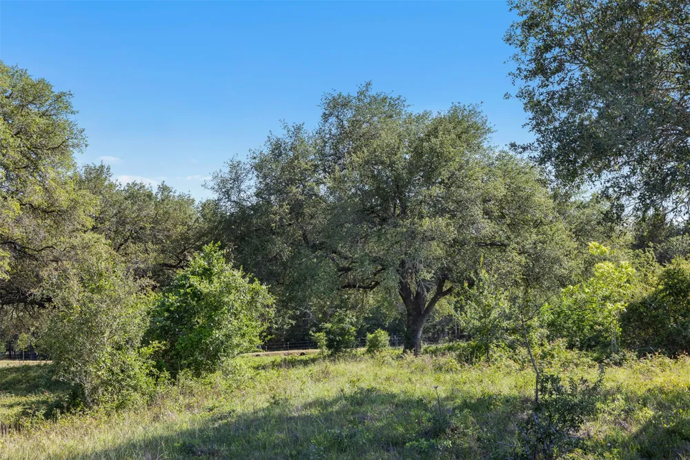 1310 Nassau Road Round Top, TX 78954
