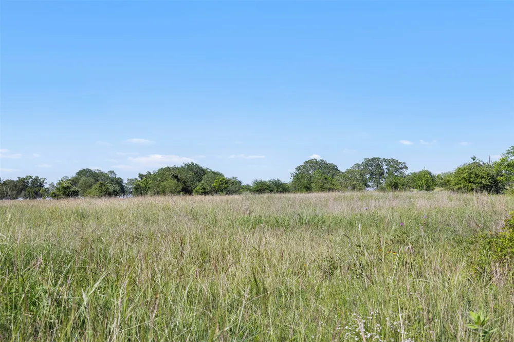 1310 Nassau Road Round Top, TX 78954