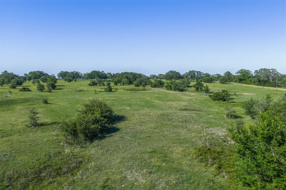 1310 Nassau Road Round Top, TX 78954