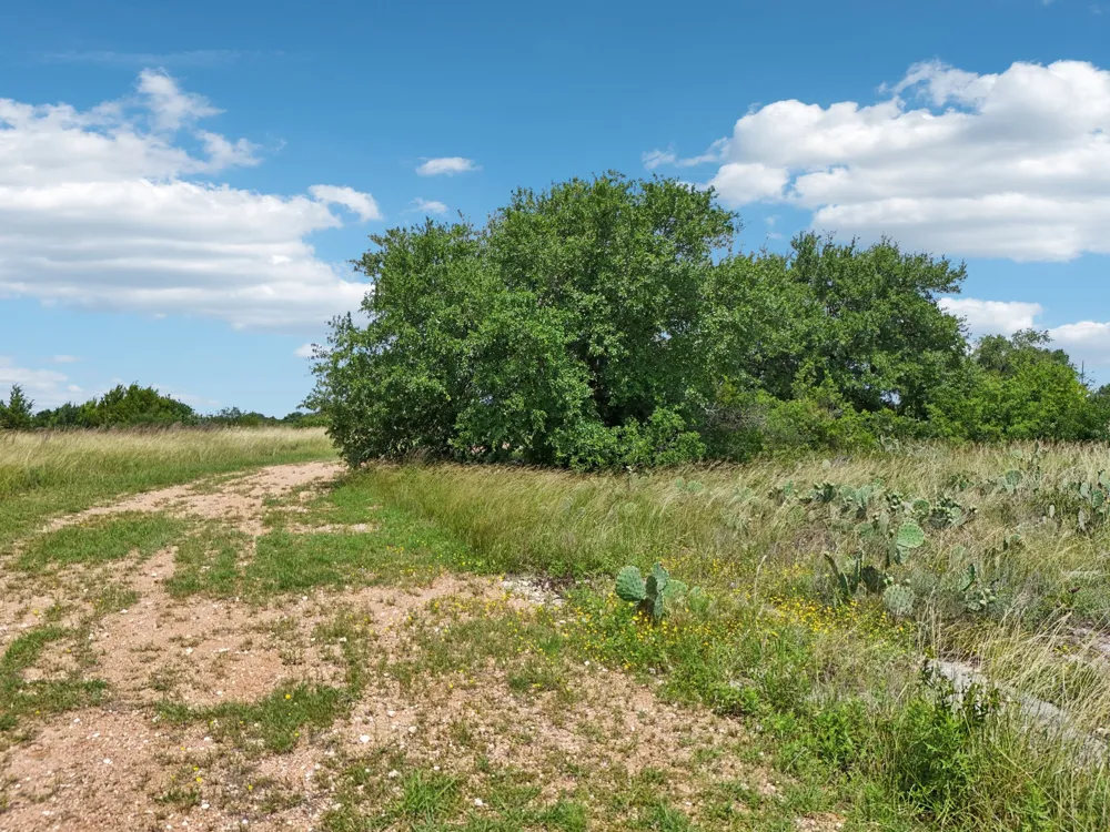 144 Cherokee Ridge Bertram, TX 78605