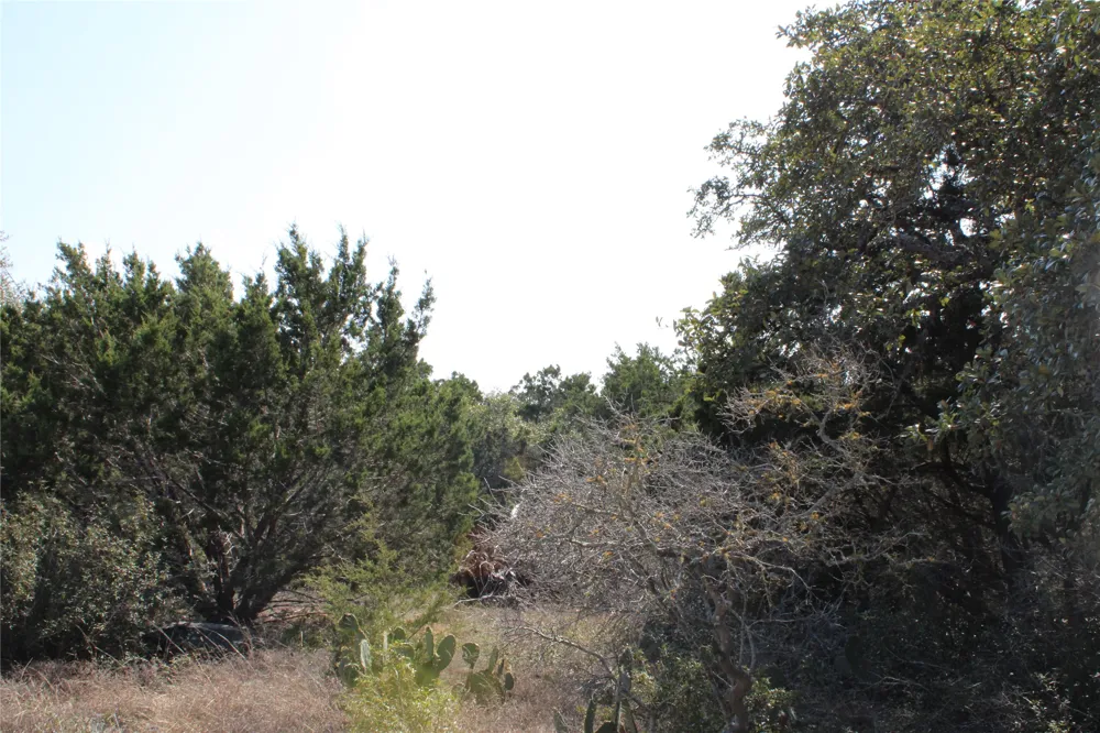 251 Serenity Fischer, TX 78623