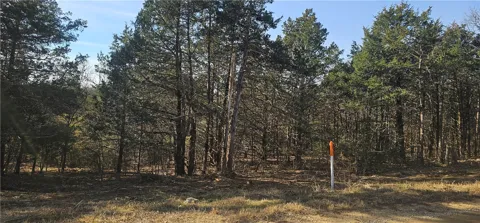 E Mockingbird Trail