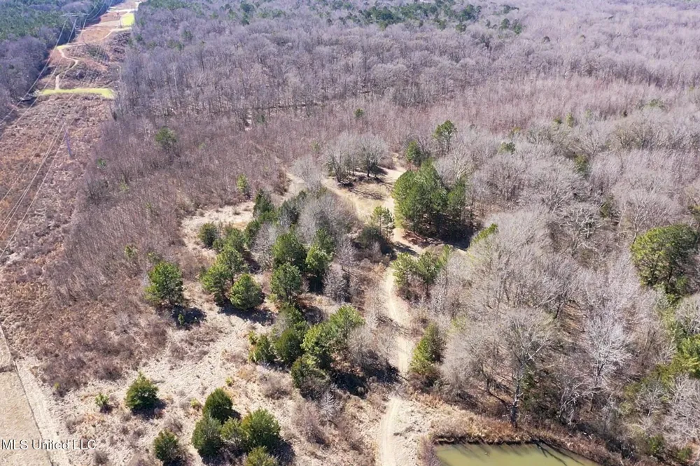 001 Robinson Springs Road Flora, MS 39071