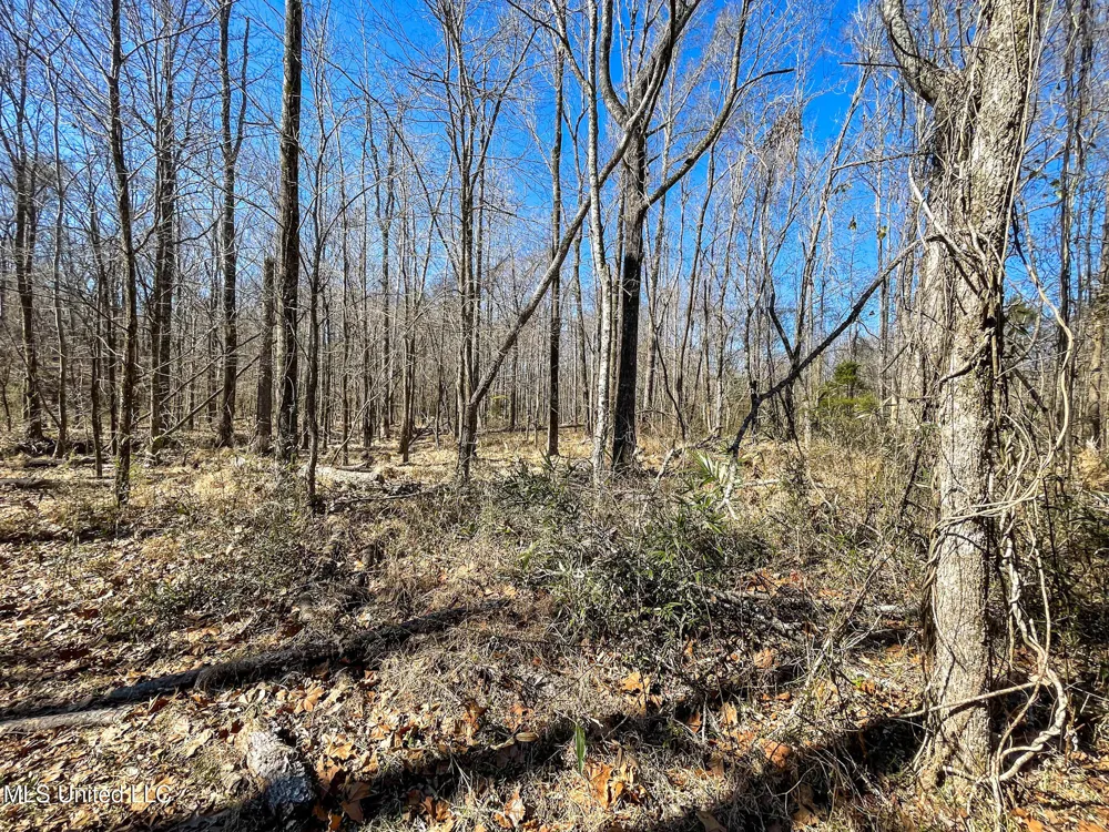 001 Robinson Springs Road Flora, MS 39071