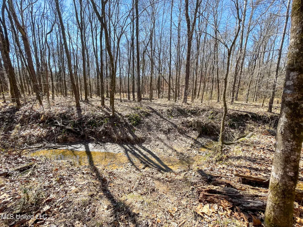 001 Robinson Springs Road Flora, MS 39071