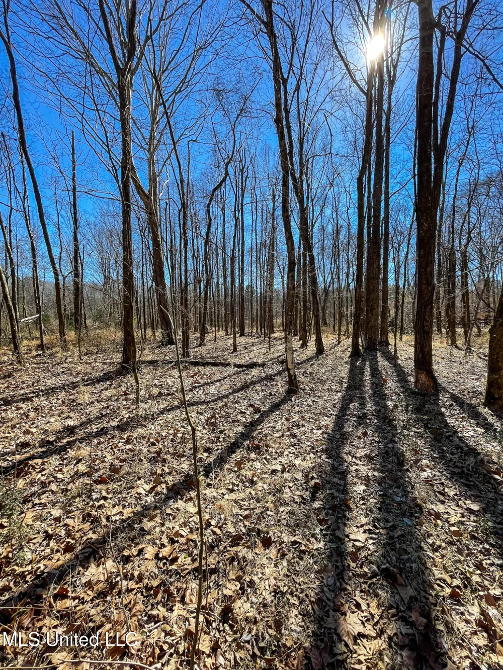 001 Robinson Springs Road Flora, MS 39071