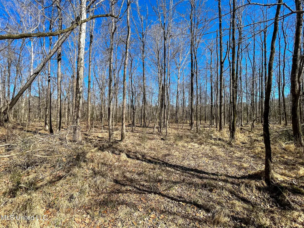 001 Robinson Springs Road Flora, MS 39071