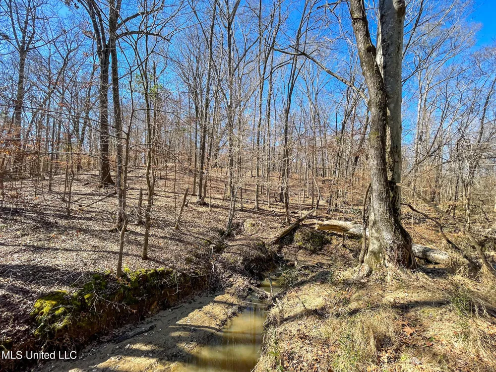 001 Robinson Springs Road Flora, MS 39071