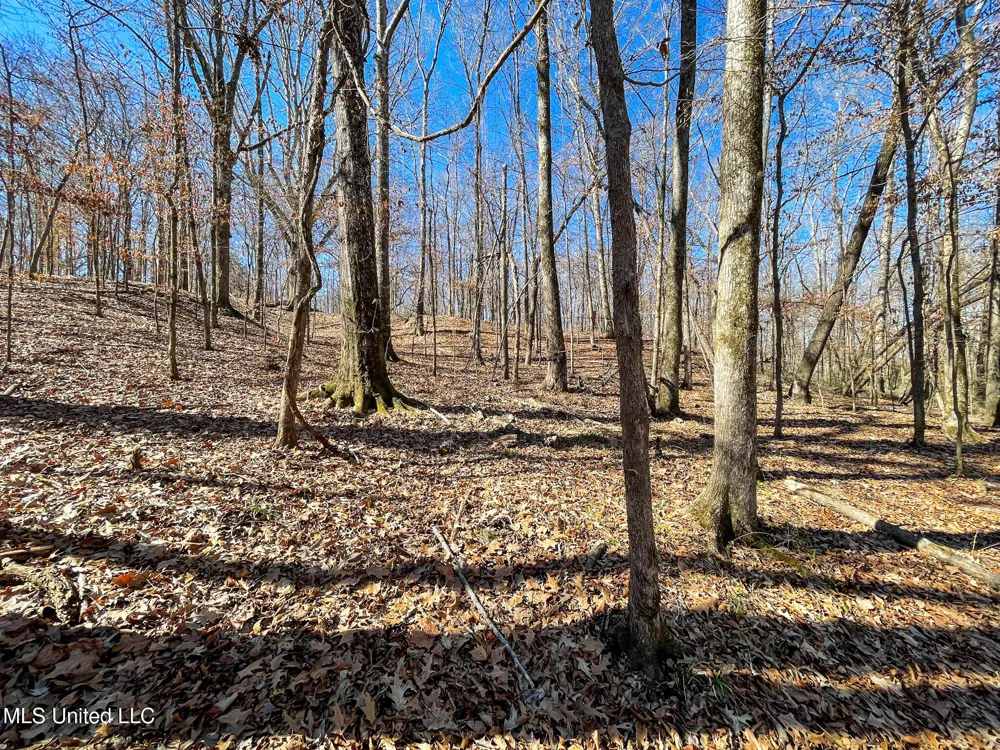 001 Robinson Springs Road Flora, MS 39071