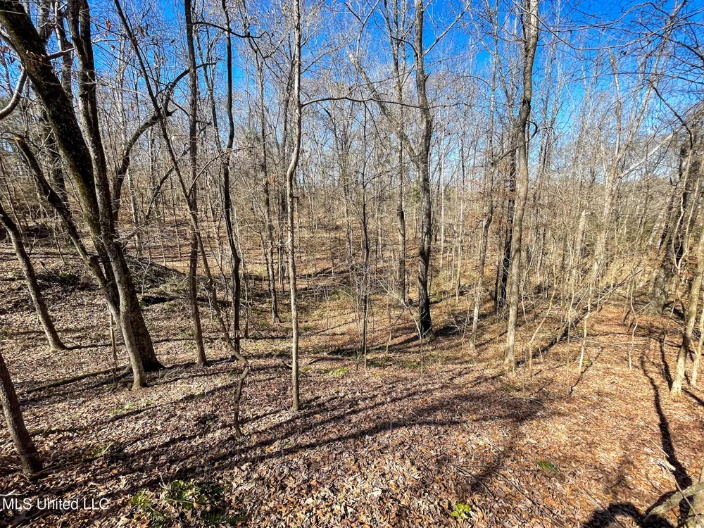 001 Robinson Springs Road Flora, MS 39071