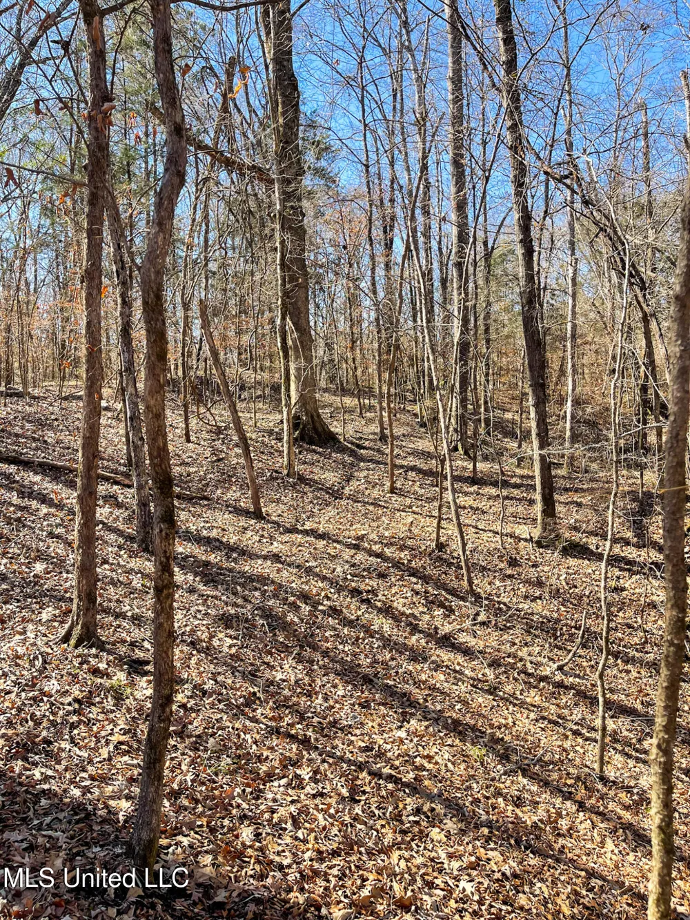 001 Robinson Springs Road Flora, MS 39071