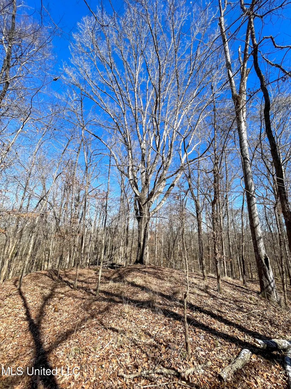 001 Robinson Springs Road Flora, MS 39071