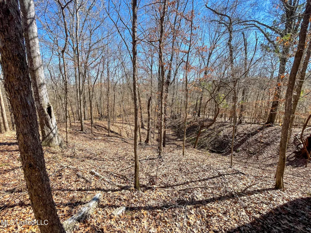 001 Robinson Springs Road Flora, MS 39071