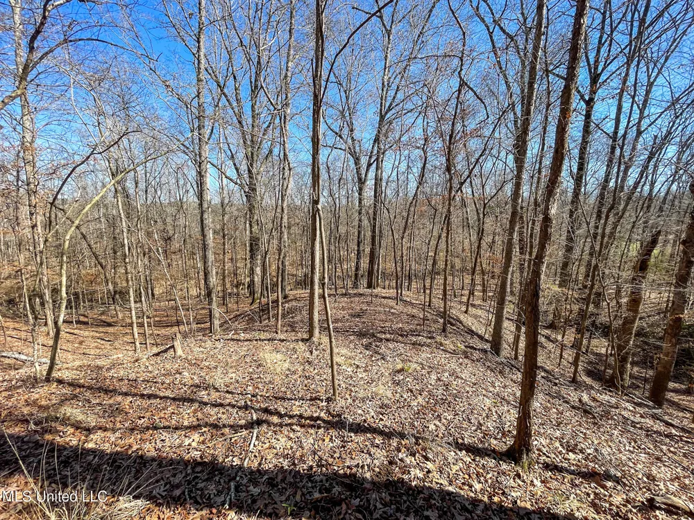 001 Robinson Springs Road Flora, MS 39071