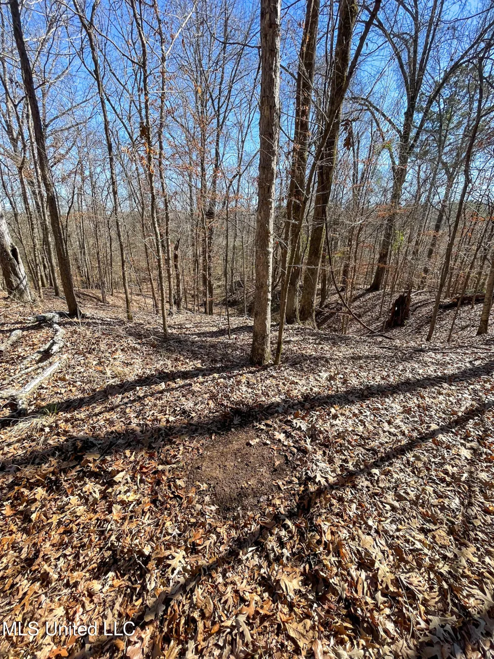001 Robinson Springs Road Flora, MS 39071