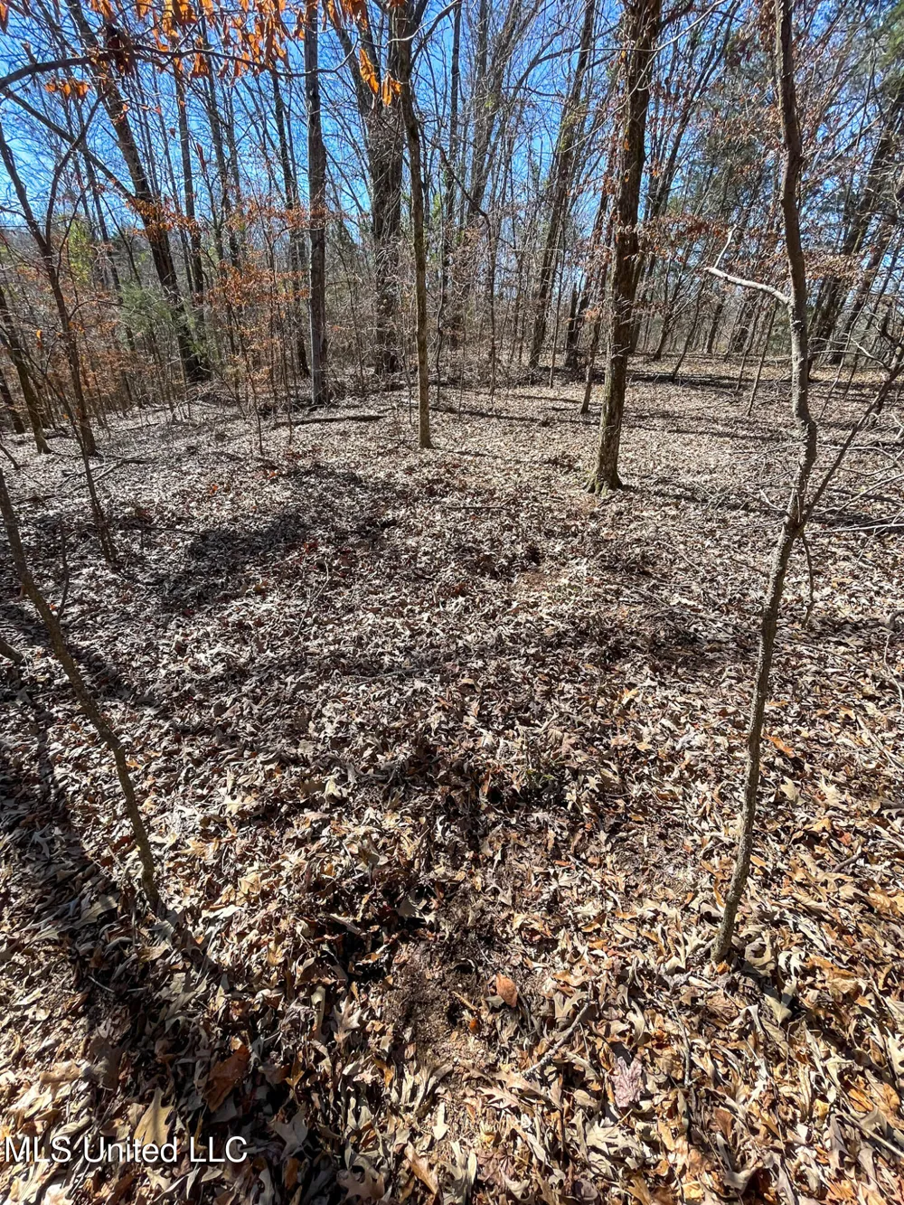001 Robinson Springs Road Flora, MS 39071