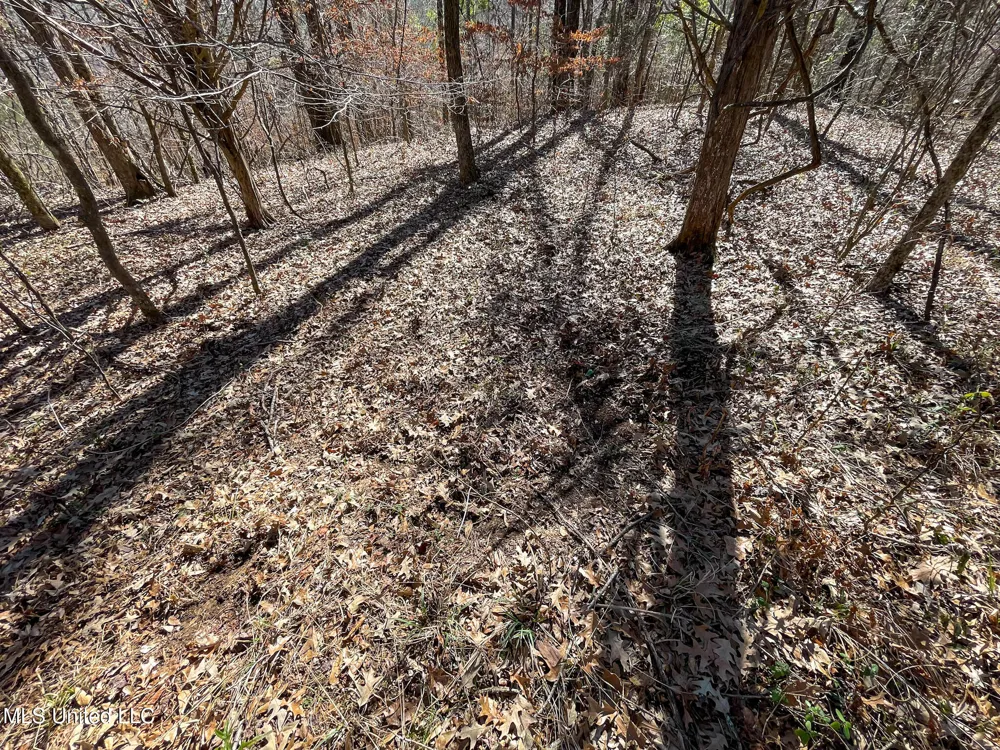001 Robinson Springs Road Flora, MS 39071