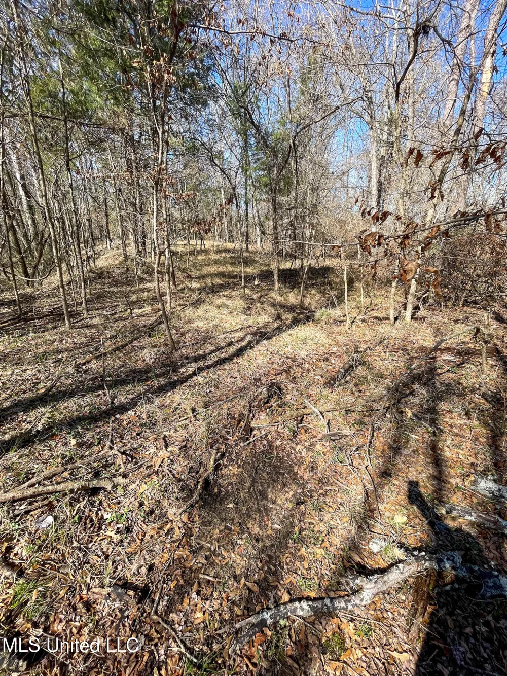 001 Robinson Springs Road Flora, MS 39071