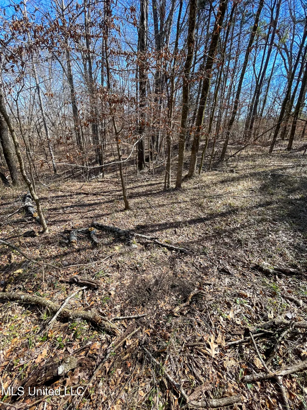 001 Robinson Springs Road Flora, MS 39071