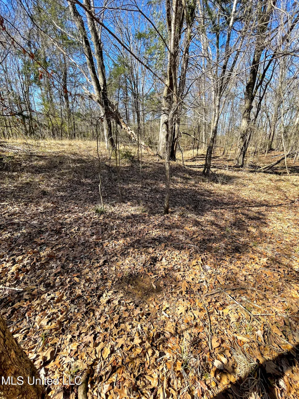 001 Robinson Springs Road Flora, MS 39071