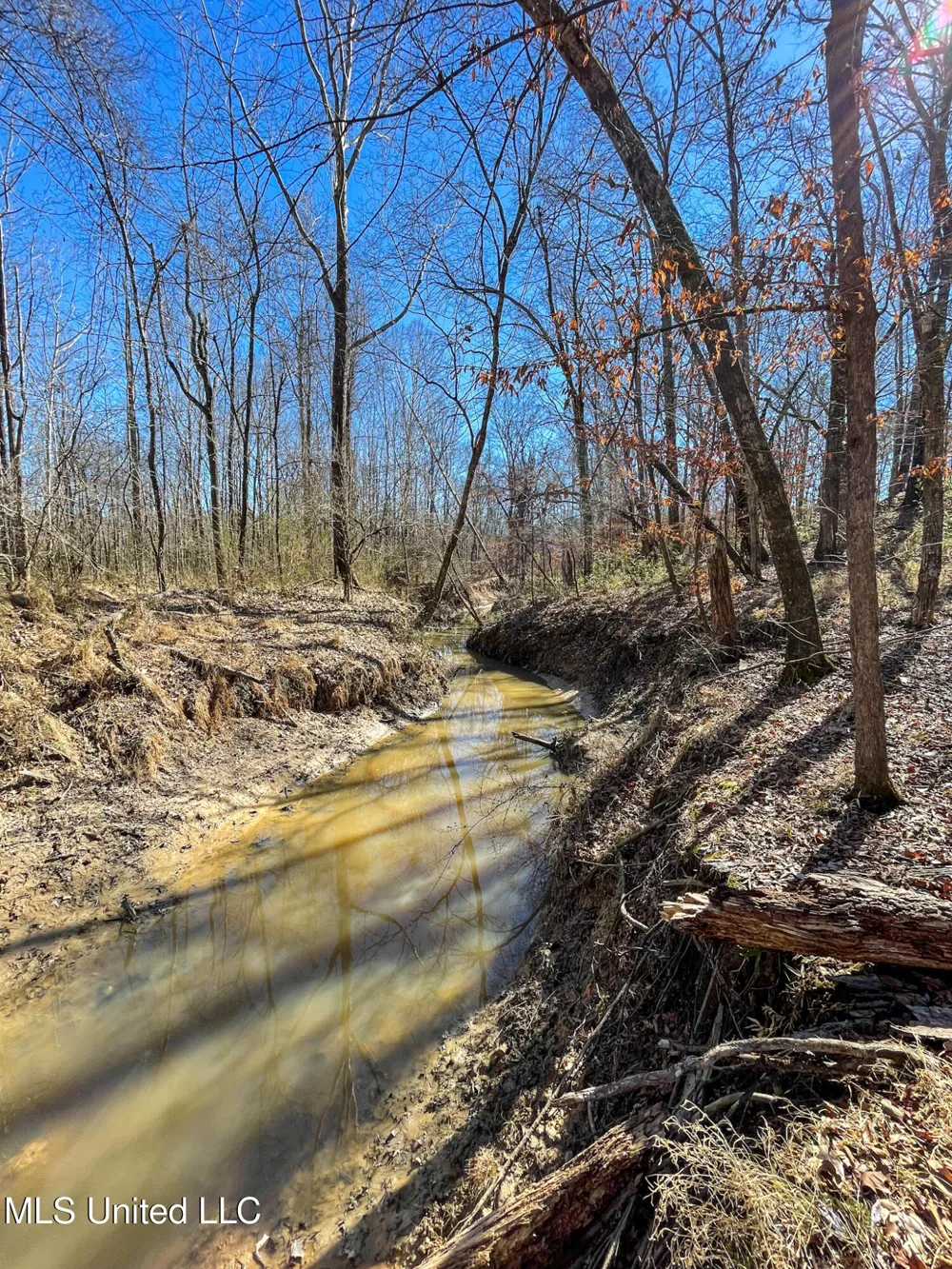 001 Robinson Springs Road Flora, MS 39071