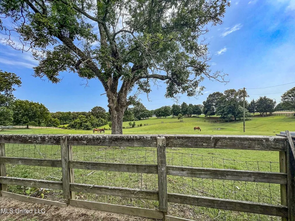 14912b 35 Highway Batesville, MS 38606