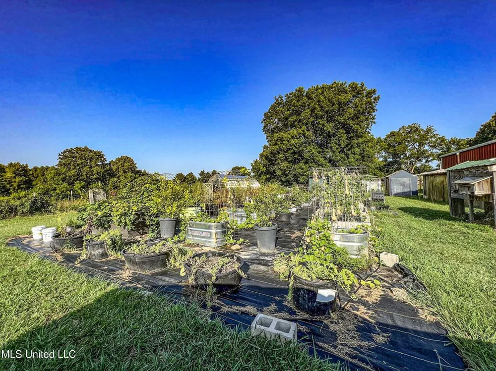 14912b 35 Highway Batesville, MS 38606