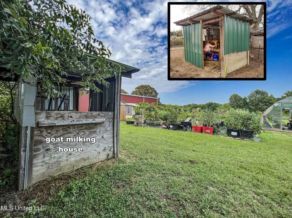 14912b 35 Highway Batesville, MS 38606