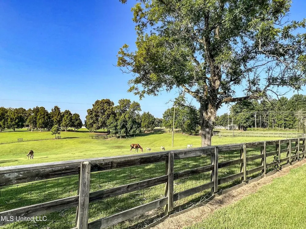 14912b 35 Highway Batesville, MS 38606