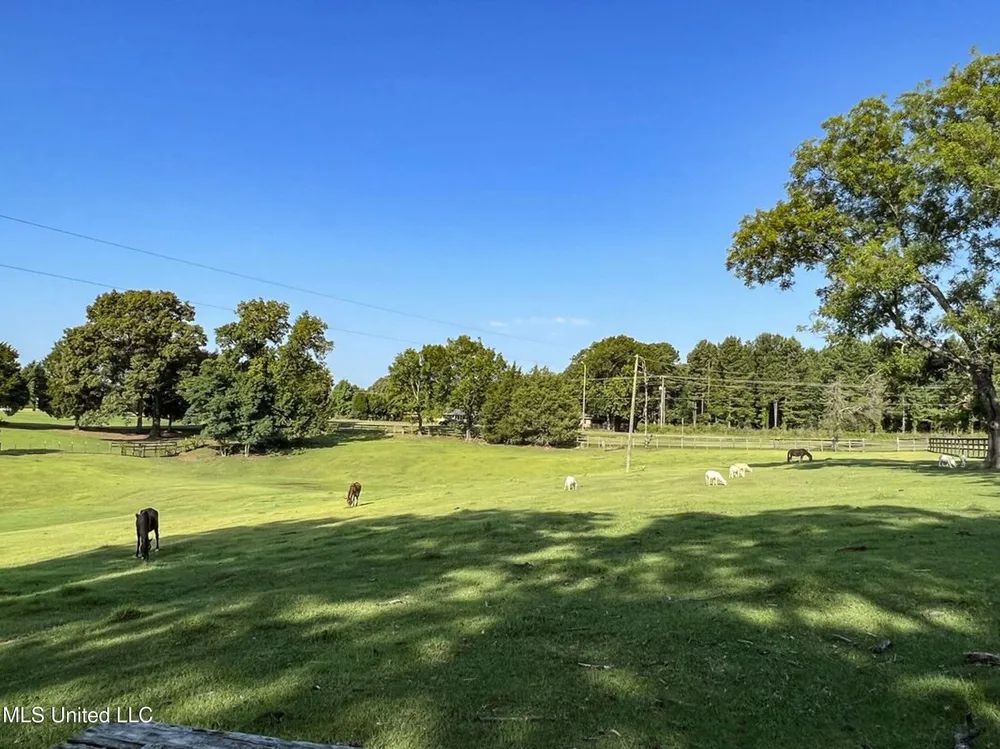 14912b 35 Highway Batesville, MS 38606