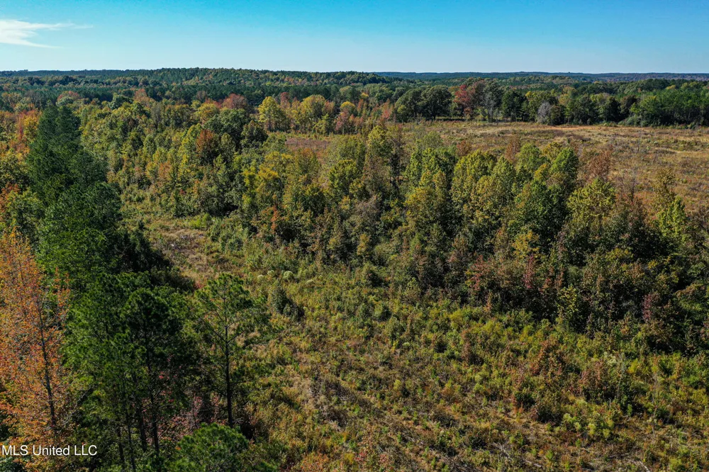 01 Mississippi 331 Paris, MS 38949