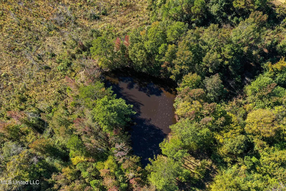 01 Mississippi 331 Paris, MS 38949