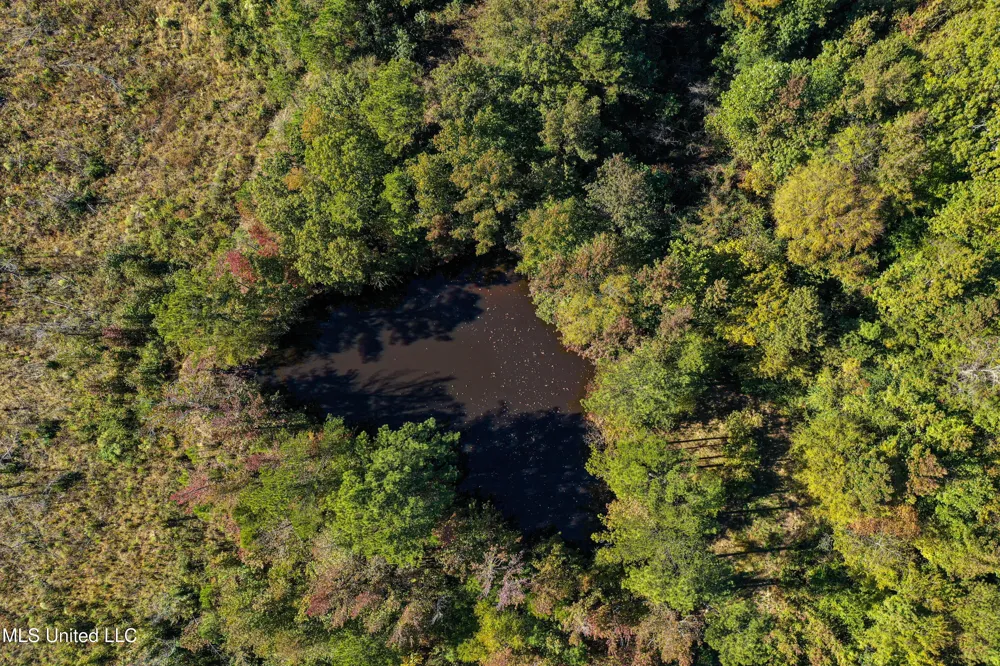01 Mississippi 331 Paris, MS 38949