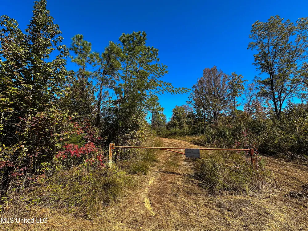 01 Mississippi 331 Paris, MS 38949